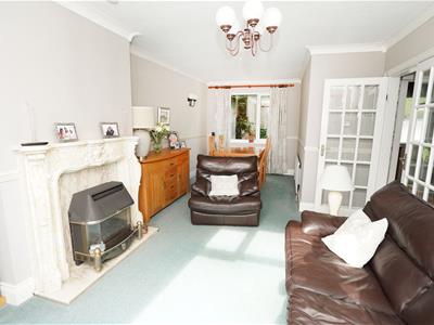 Picture 15